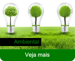 Ambiental